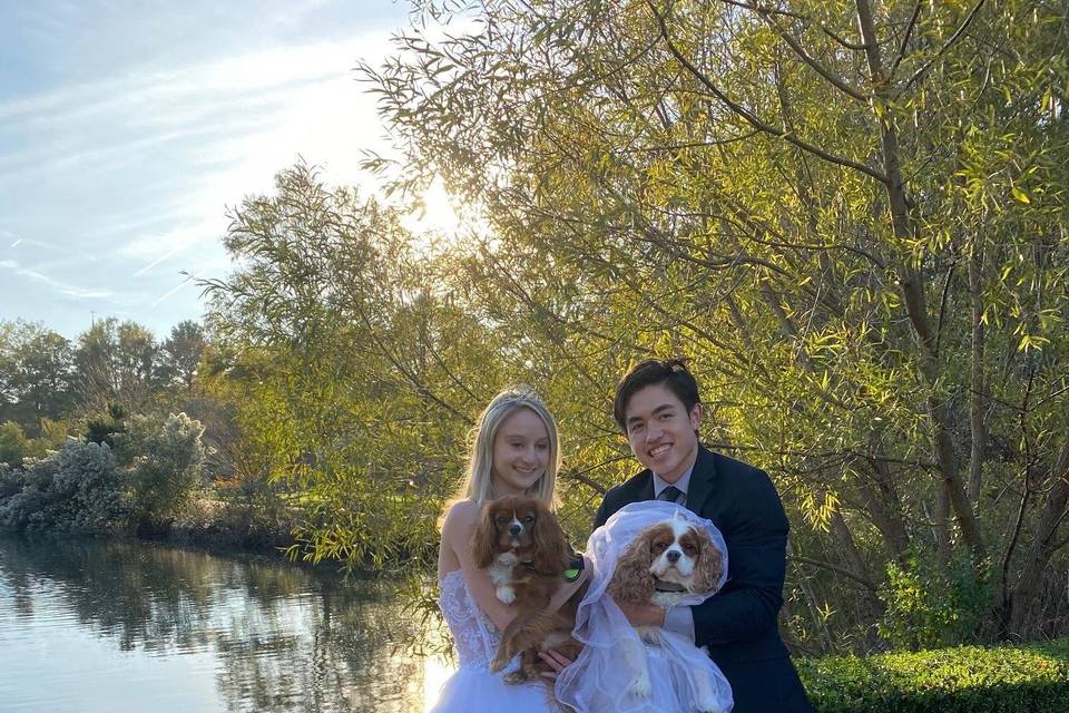 Pet Friendly weddings