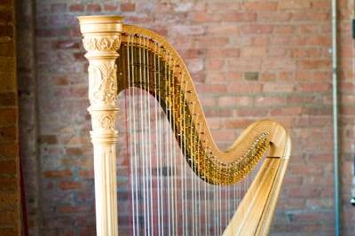 Andrea Mumm, Harp