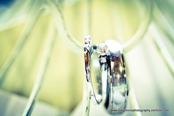 Meg O Lince Photography