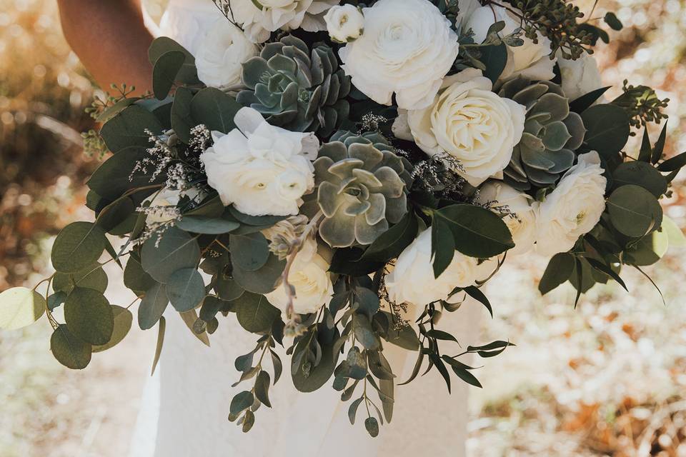 Garden roses and Succulents