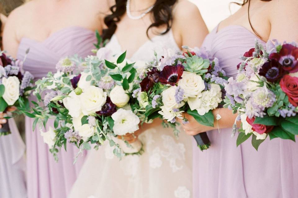 Elegant Lavenders