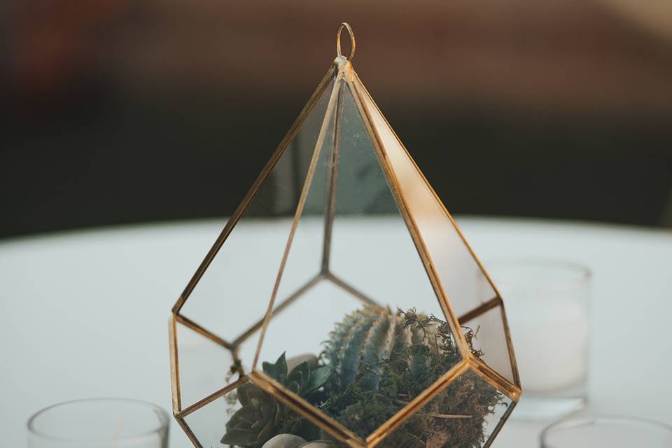 Succulent Terrarium