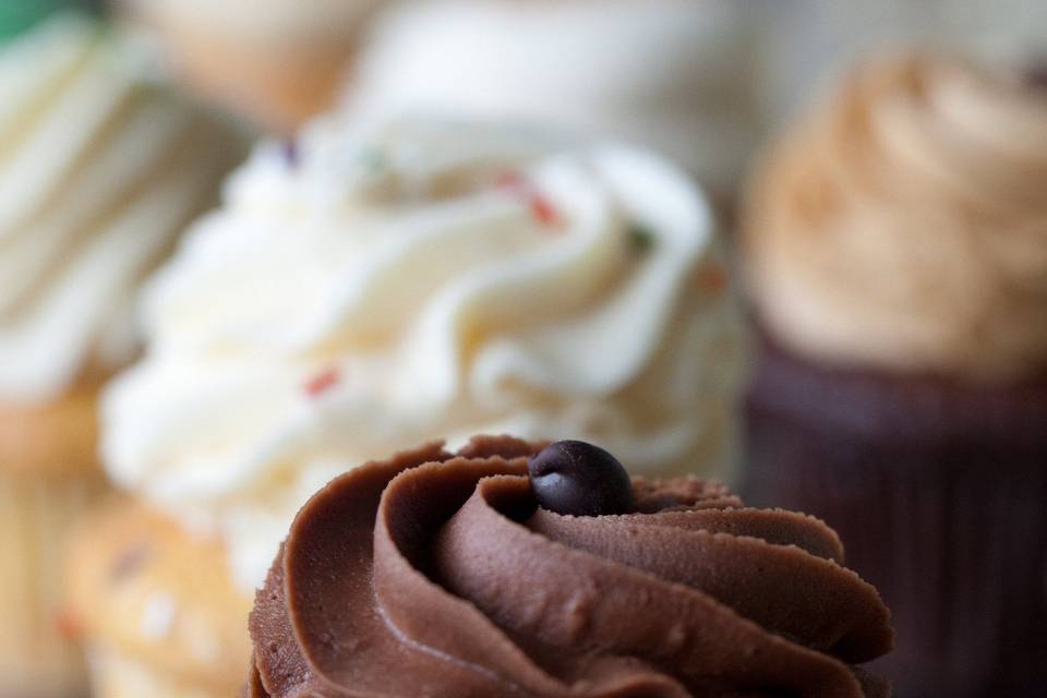 Chocolate and vanilla cupcakes