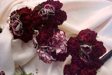 burgundy bridal party florals.  Magnificent burgundy mini carn and roses.