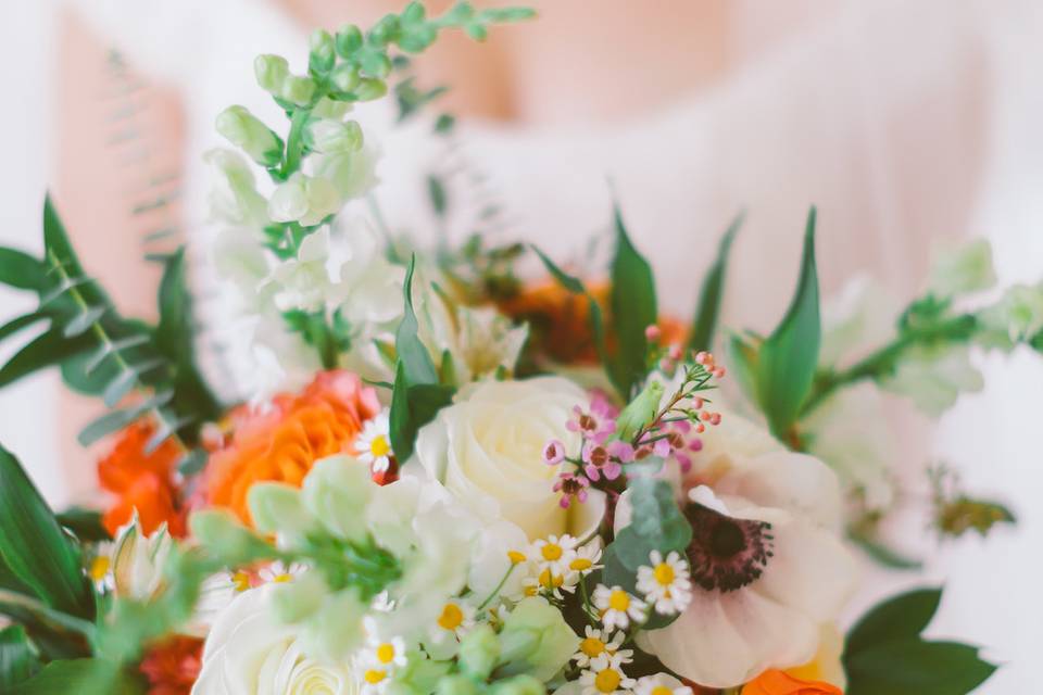 Orange flowers