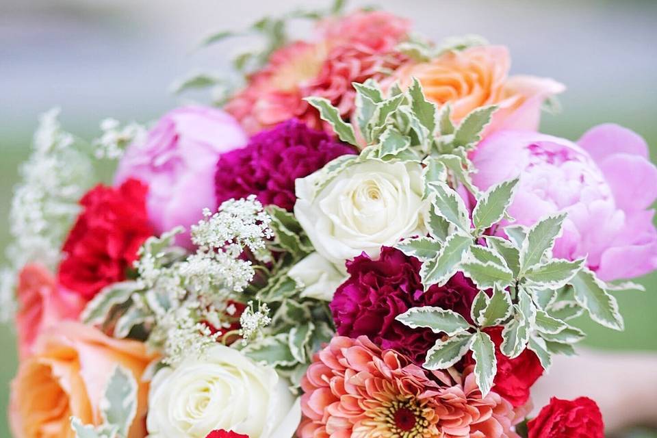 Pink and red flowers