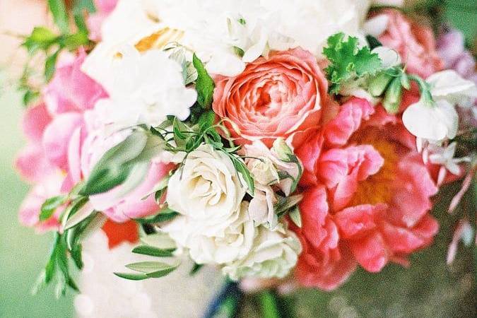 Blooming pink flowers