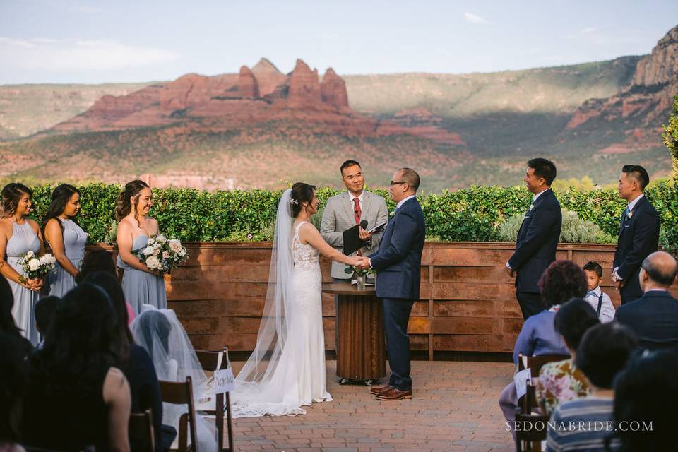 Agave of Sedona