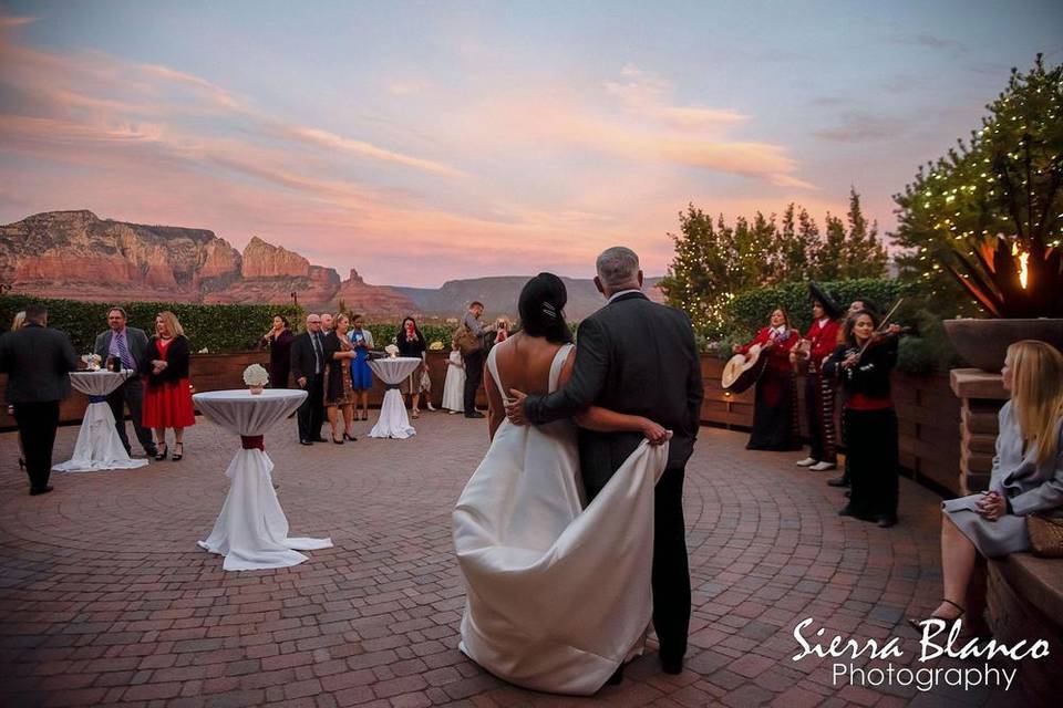 Agave of Sedona