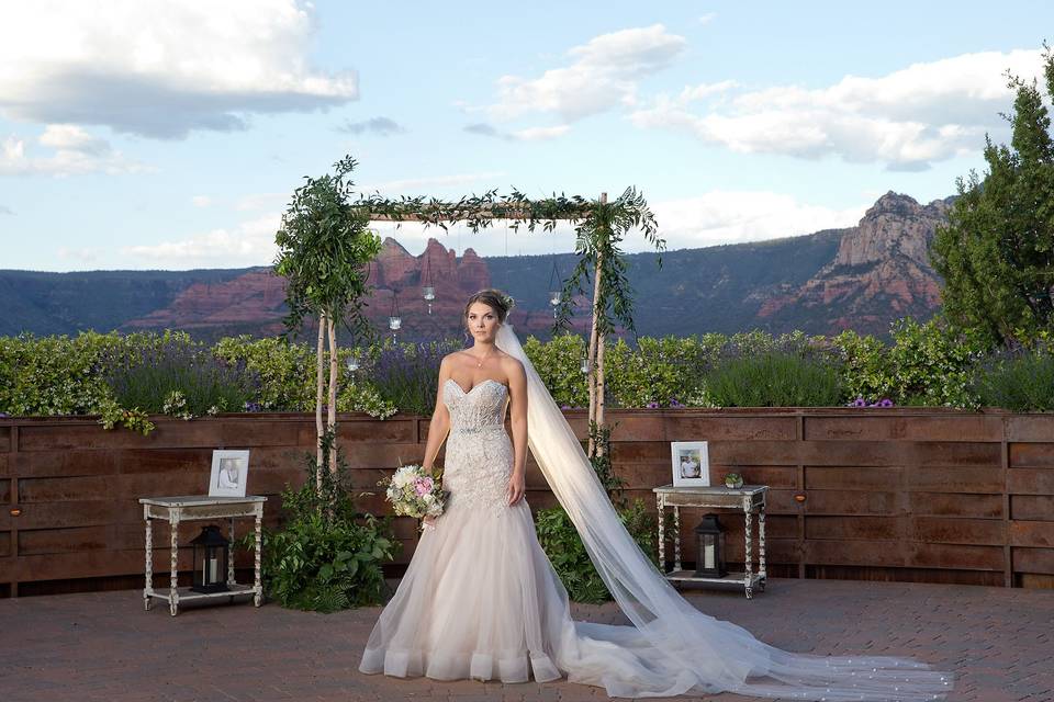 Agave of Sedona