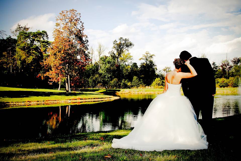 Pond view