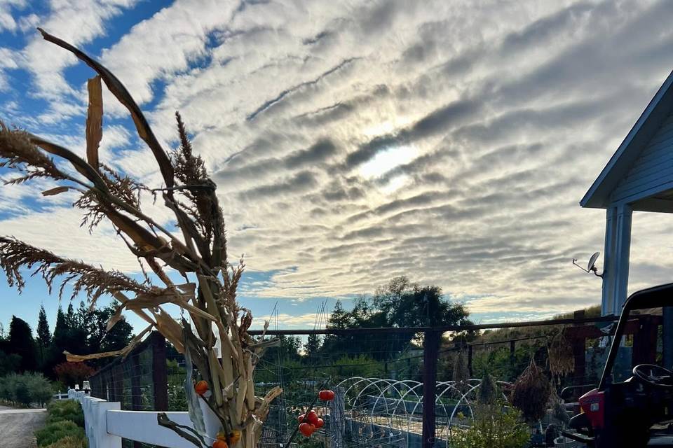DebRene Farms