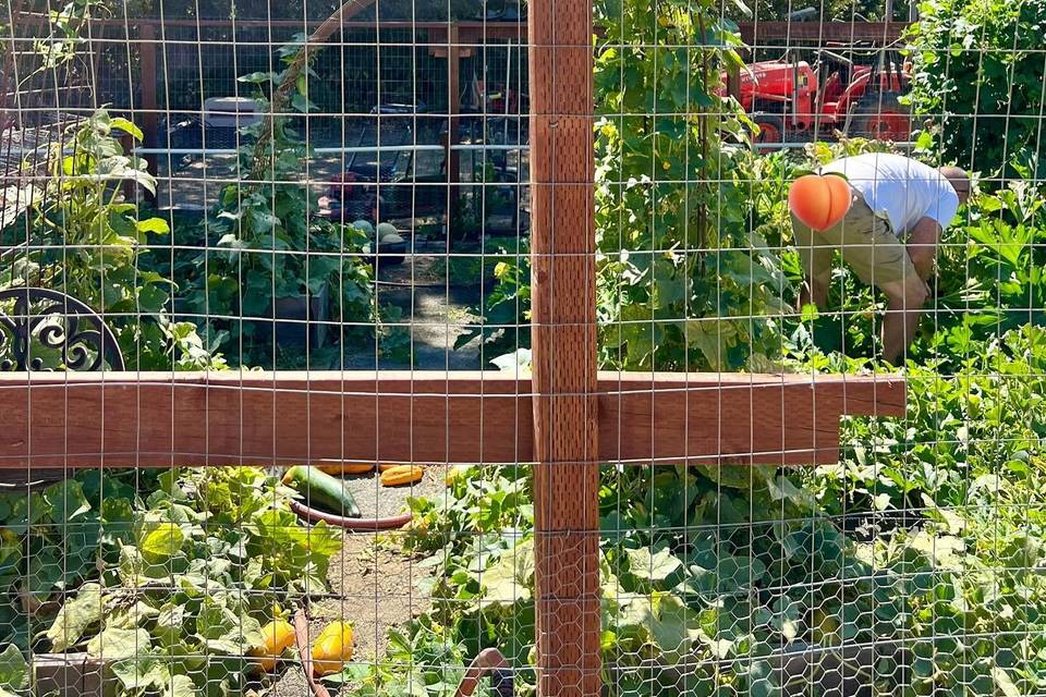 DebRene Farms