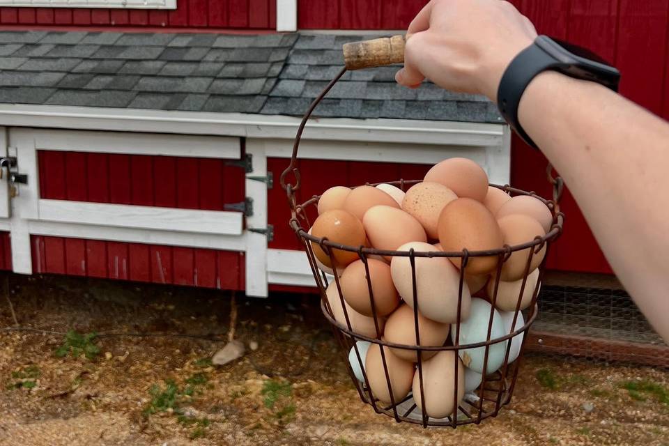 DebRene Farms