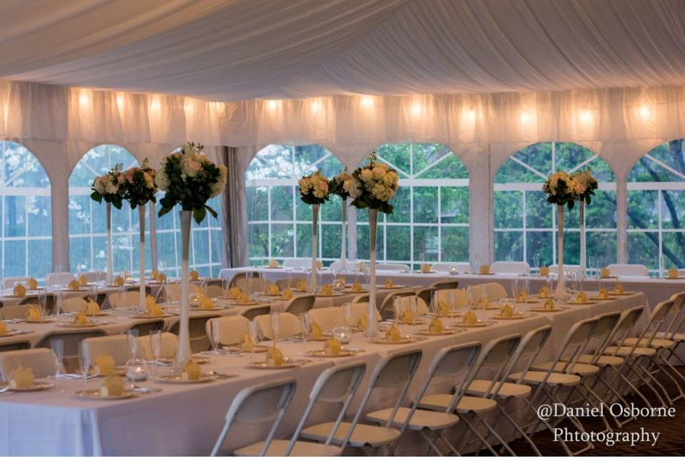 Tent Seating