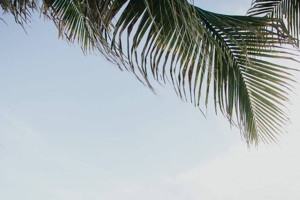 Beach Wedding