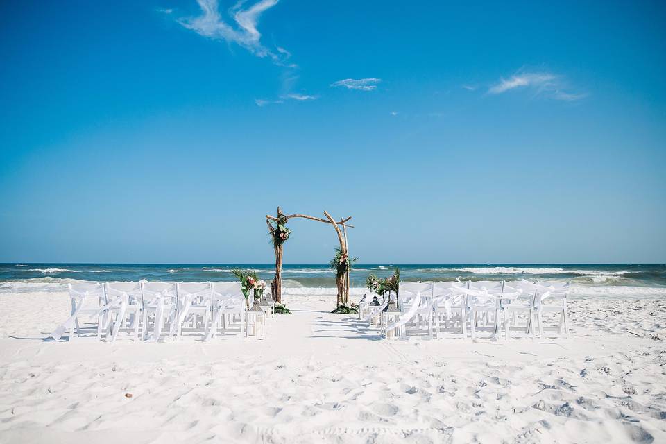 Driftwood Arch