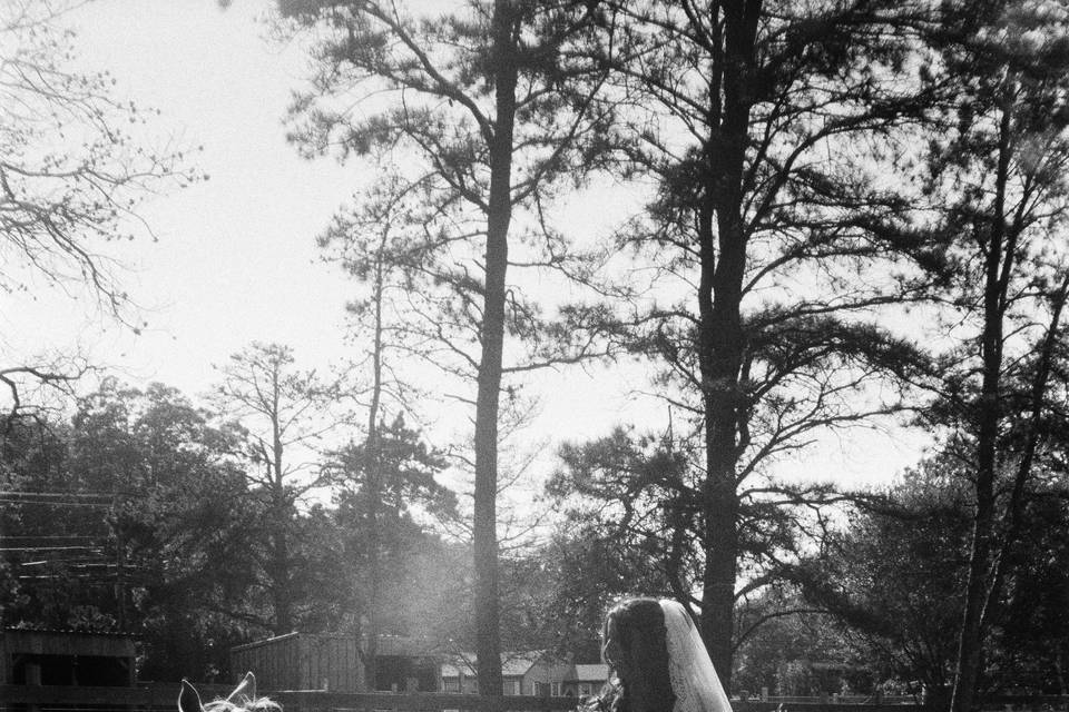 film photography