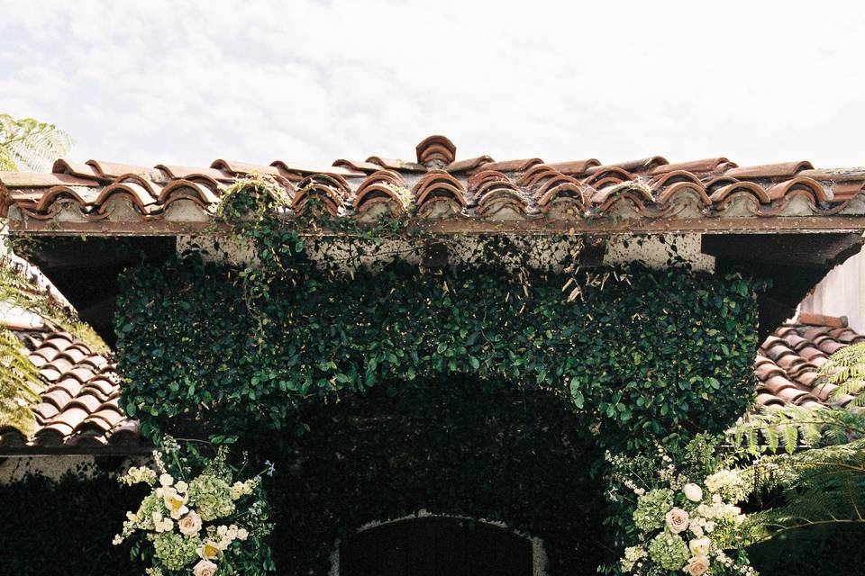 film photography CA