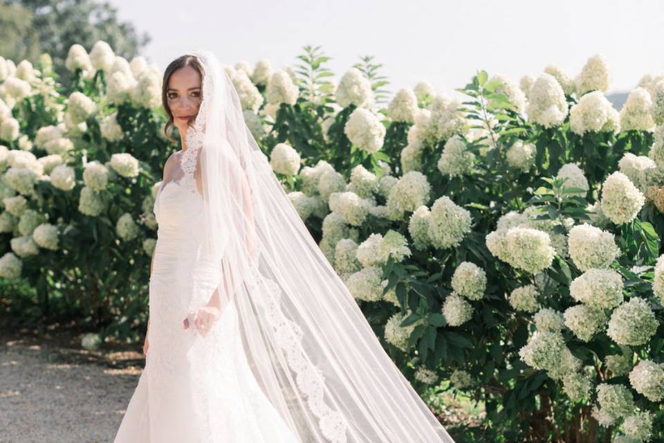 Bridal portrait