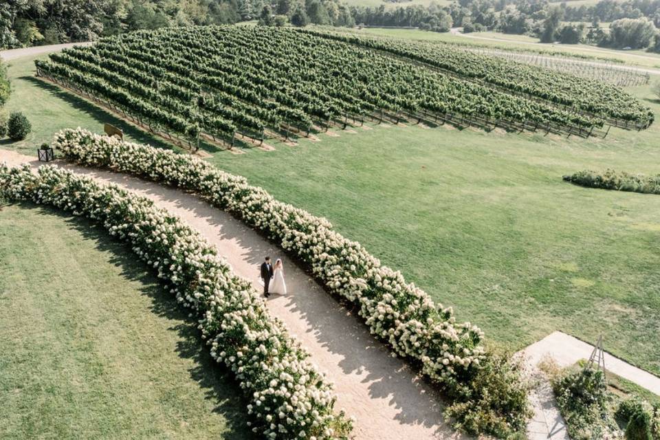 Drone of bride & groom