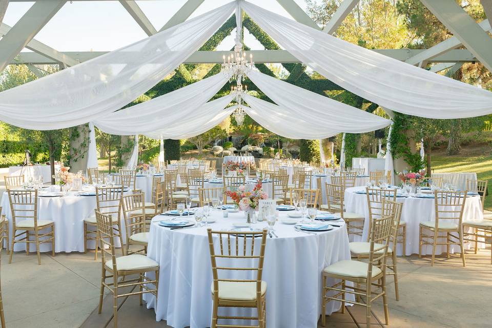Outdoor Reception