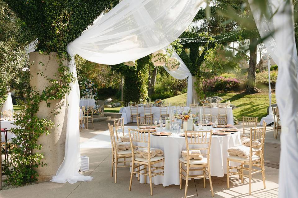 Reception 3