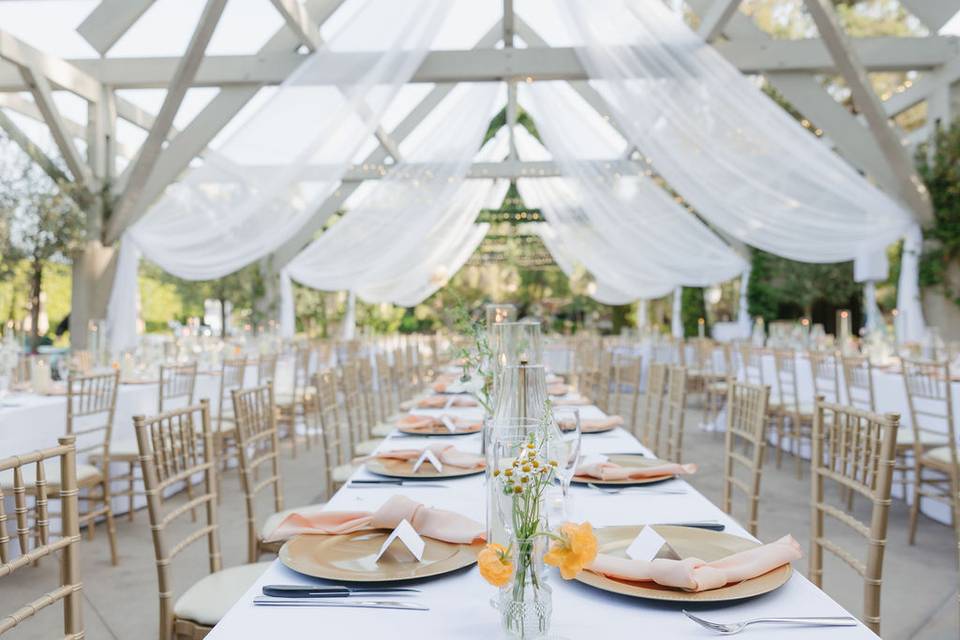Reception 4