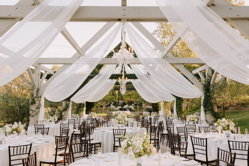 Reception 10