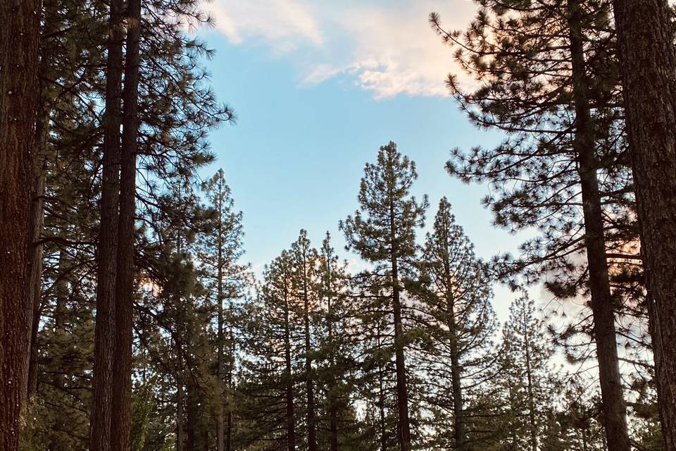 Sky Lot