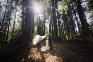 Sweetbay Photography
