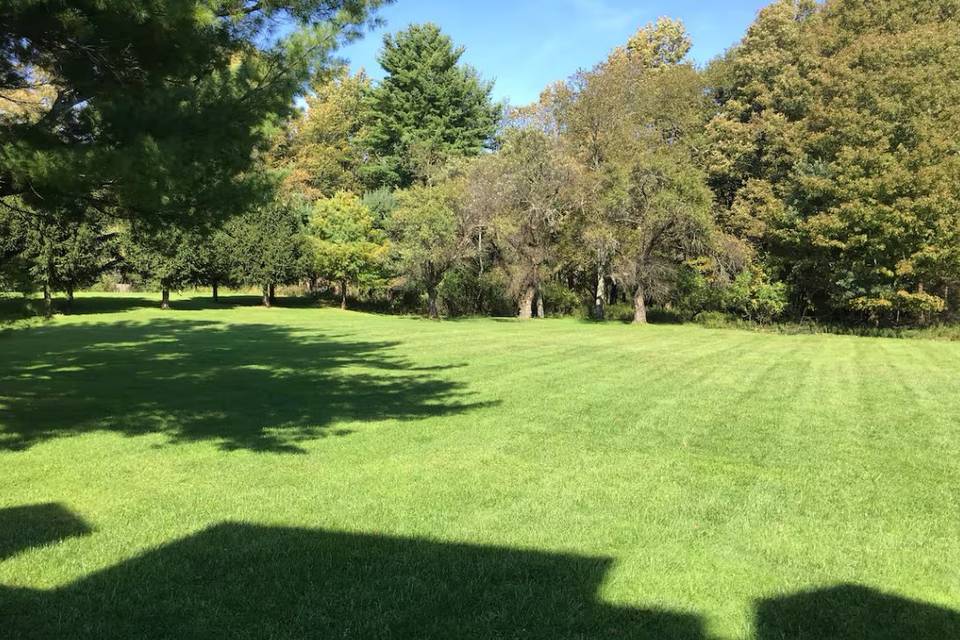 Lawn