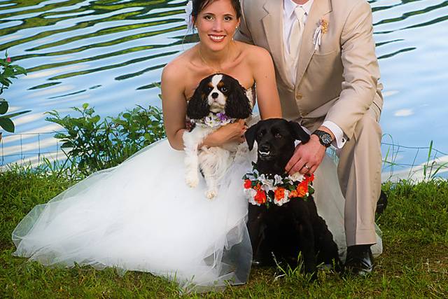 Bob Harper Photography