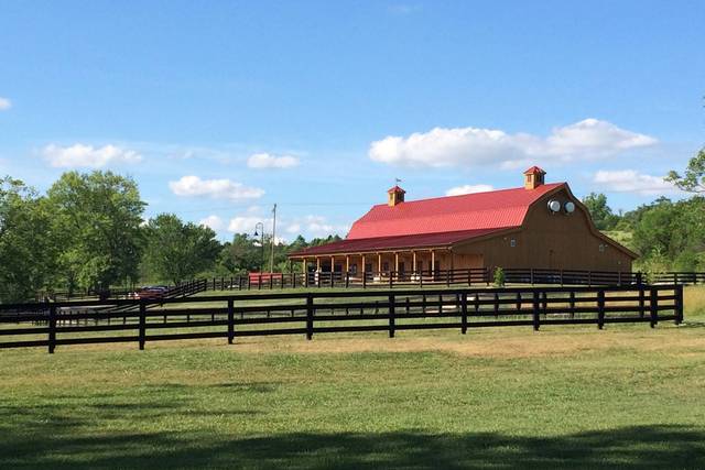 Canopy Creek Farm
