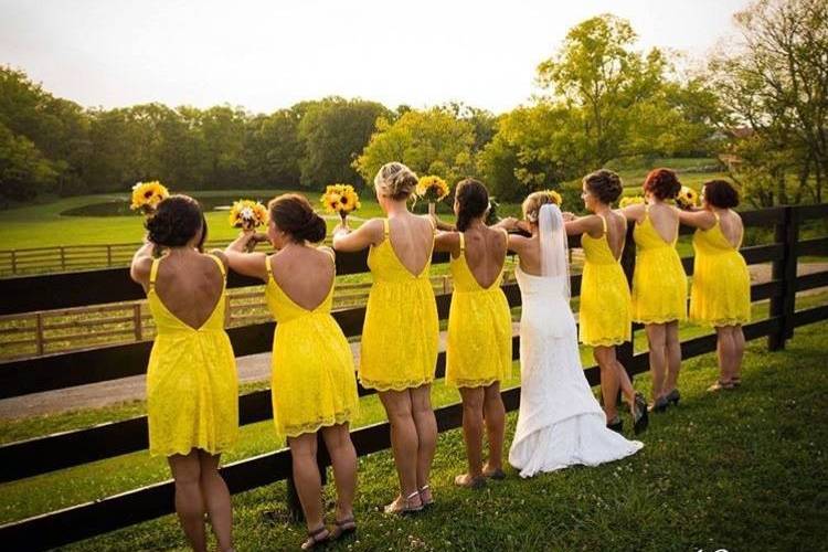 Yellow Dresses