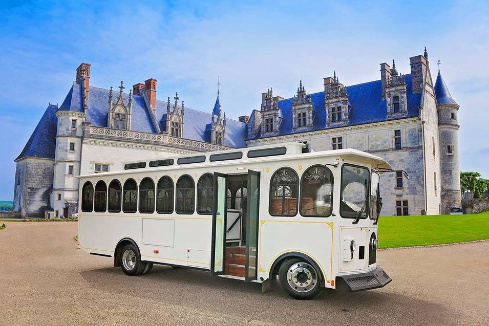 Absolute Dream Limo, Trolley & Coach Service