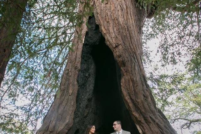 Couple's portrait