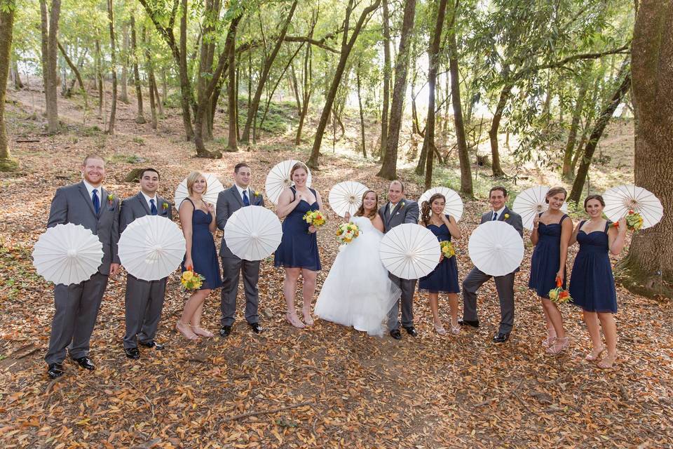 Couple along with bridesmaids and groomsmen