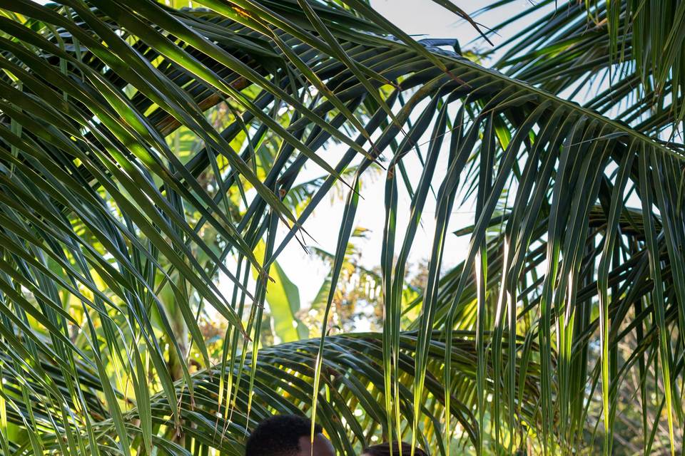 Palm trees Dede Brown Wedding Photography