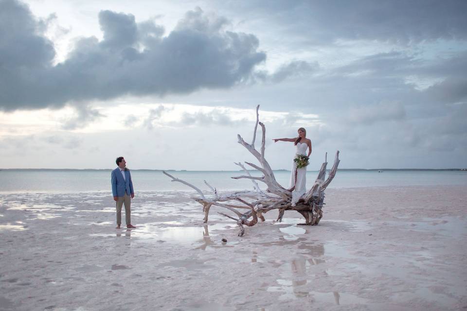 Beach wedding Dede Brown Wedding Photography