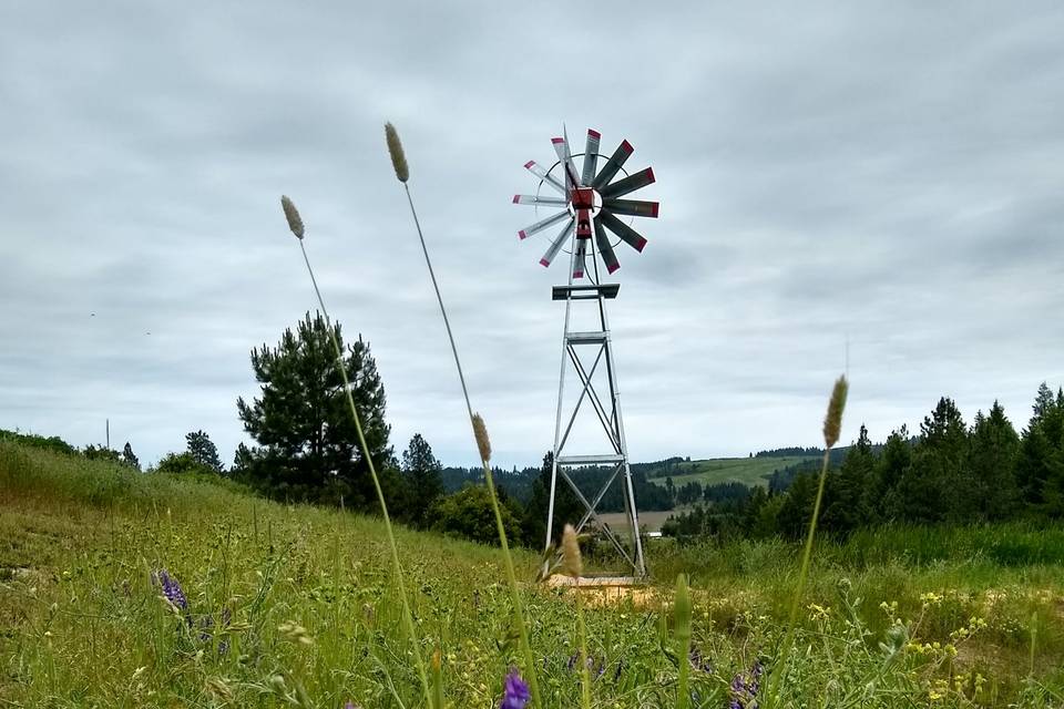 Windmill by the pond
