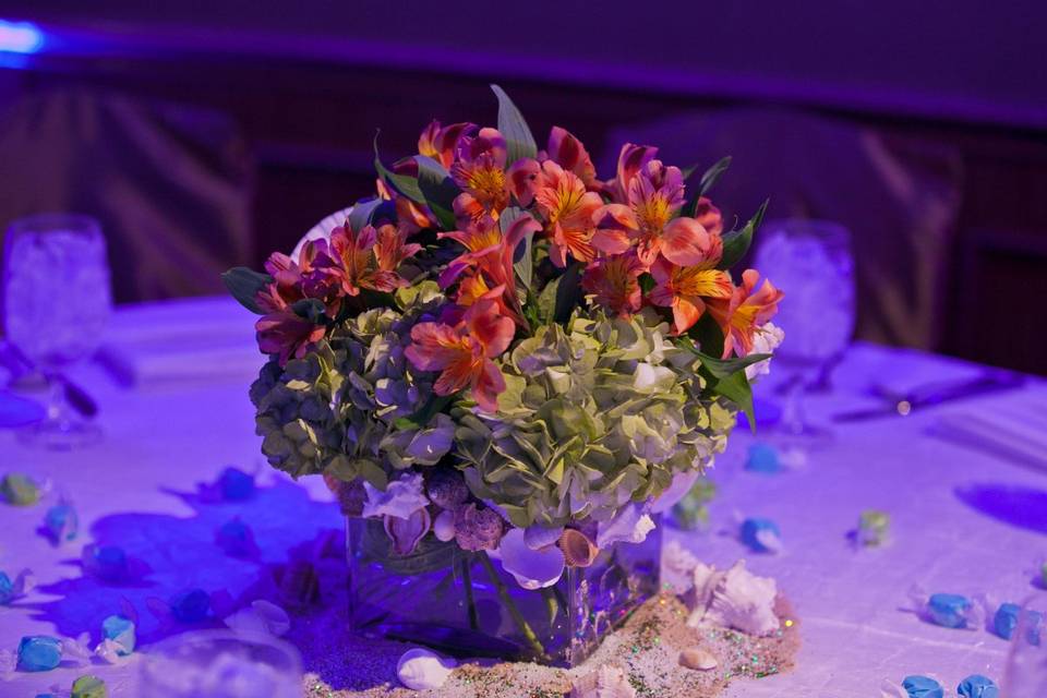 An Under the Sea Bat Mitzvah celebration held at the Hyatt Regency Downtown in the Foothills Ballroom.