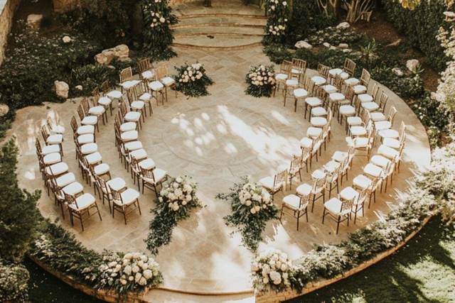 The Amber D. Collective