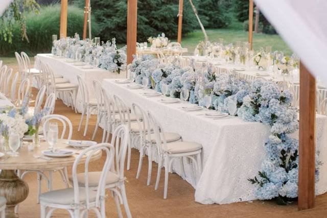 The Amber D. Collective