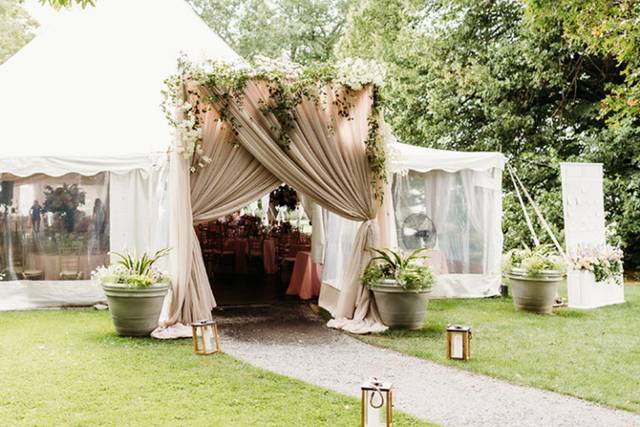 The Amber D. Collective