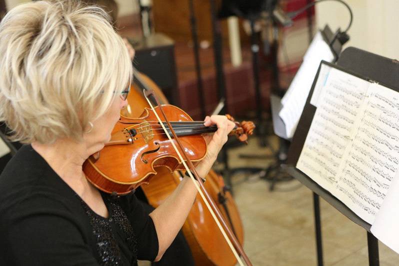 Sonja Gary Strings
