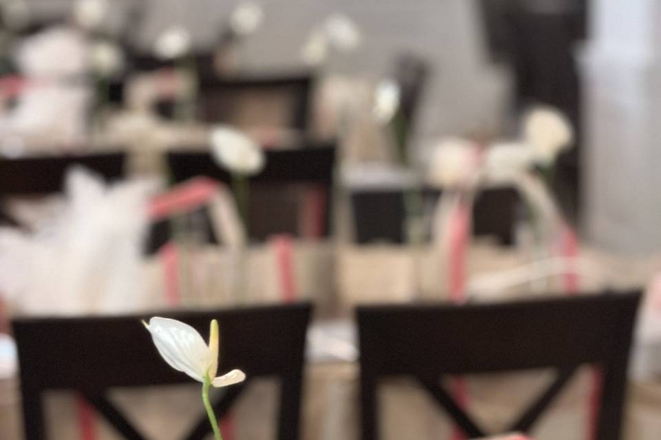 Bud