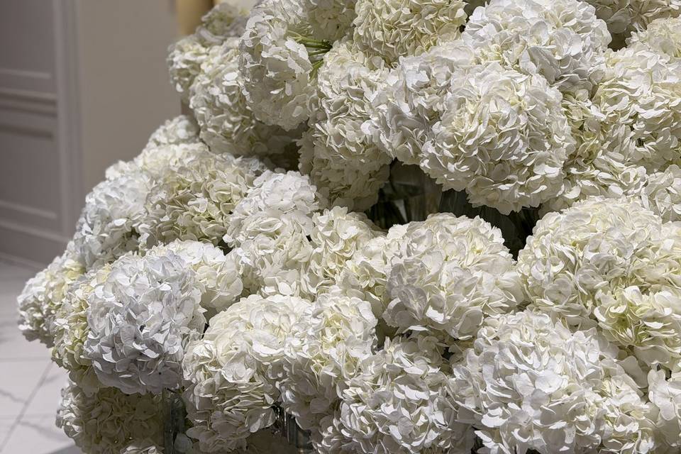 Pearl12