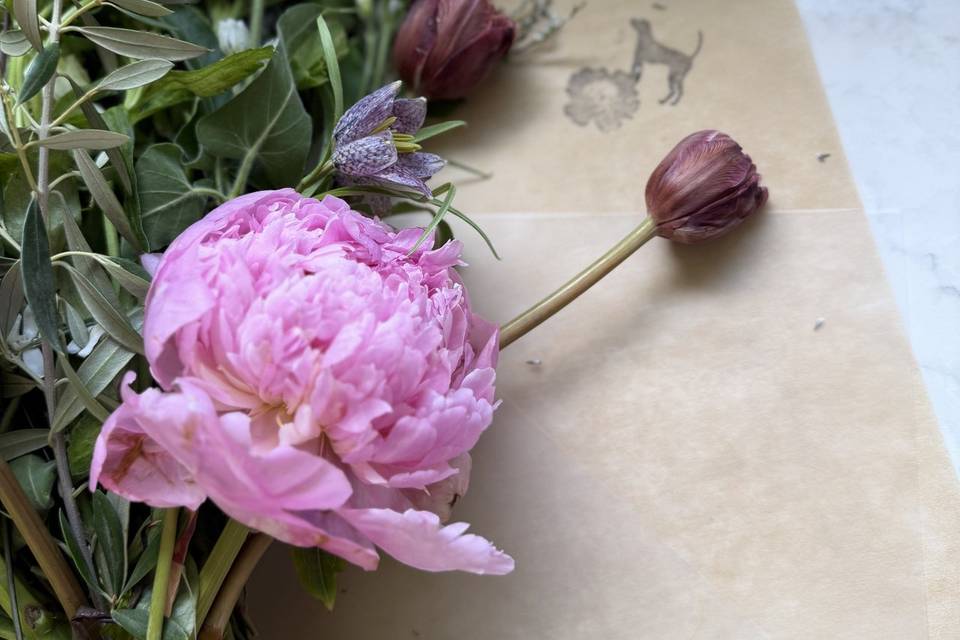 Peony bouquet, tulip, cosmos