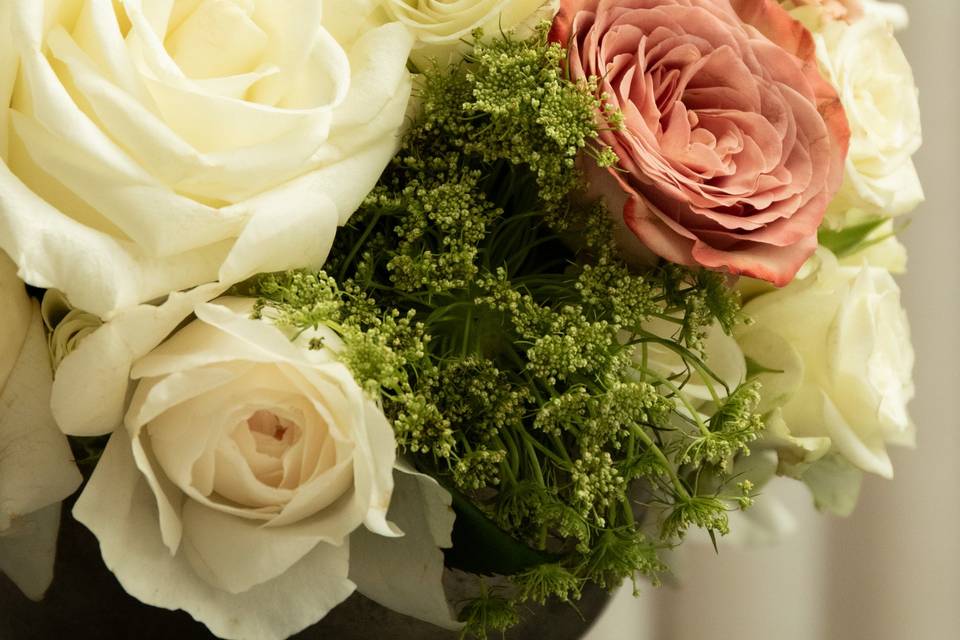 IMG_5685_crop.jpg